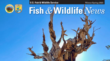Winter-Spring 2025 Fish & Wildlife News