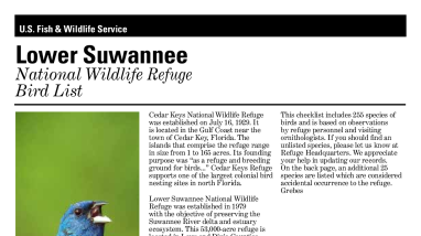 Bird list Lower Suwanee NWR 2025