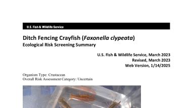 Ecological Risk Screening Summary - Ditch Fencing Crayfish (Faxonella clypeata) - Uncertain Risk
