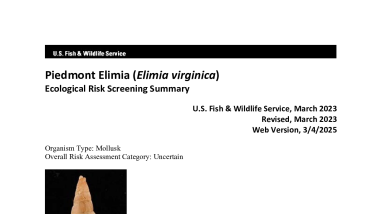 Ecological Risk Screening Summary - Piedmont Elimia (Elimia virginica) - Uncertain Risk