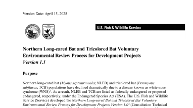 Consultation Technical Assistance for Development Projects