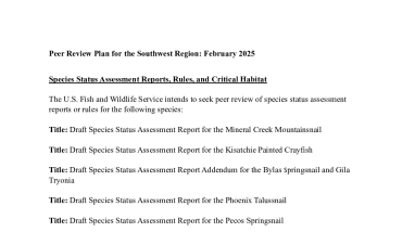 Peer Review Plan Schedule for 2025-2026