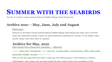 Summer with the Seabirds 2021