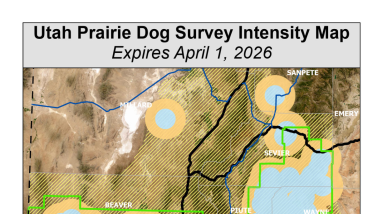 UPD-2025-Survey-Intensity-Map