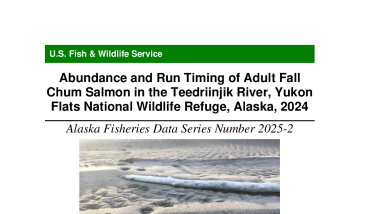 Abundance and Run Timing of Adult Fall Chum Salmon in the Teedriinjik River, Yukon Flats National Wildlife Refuge, Alaska, 2024 (Alaska Fisheries Data Series Number 2025-2)