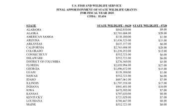 FY 2025 SWG Apportionment Table