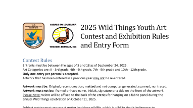 2025 Wild Things Youth Art Contest and Exhibition Rules and Entry Form