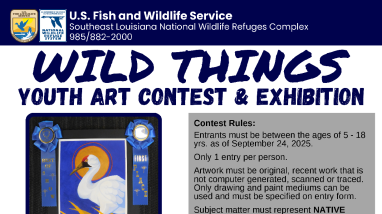 Wild Things Youth Art Contest Flyer 