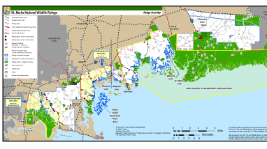 Refuge Hunt Brochure for St. Marks NWR