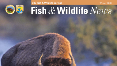 Winter 2009 Fish & Wildlife News
