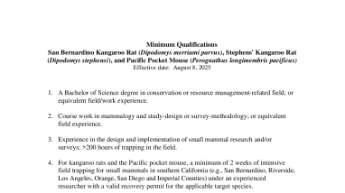 Minimum Qualifications Obtaining a Section 10(a)(1)(A) Recovery Permit for San Bernardino Kangaroo Rat, Stephens' Kangaroo Rat, and Pacific Pocket Mouse