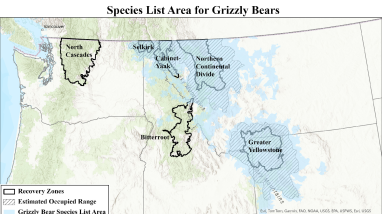 Species List Area for Grizzly Bears