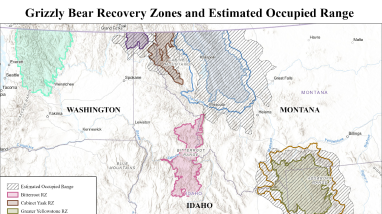Grizzly Bear Recovery Zones and Estimated Distributions