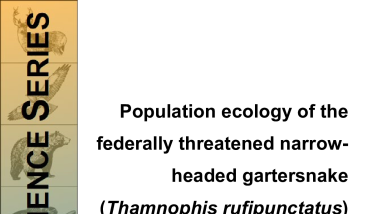Population ecology of the federally threatened narrow-headed gartersnake (Thamnophis rufipunctatus) in Canyon Creek, Arizona