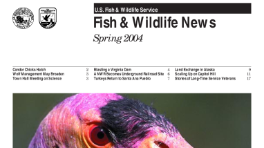 Spring 2004 Fish & Wildlife News