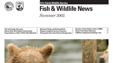 Summer 2005 Fish & Wildlife News