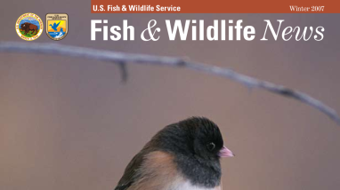 Winter 2007 Fish & Wildlife News