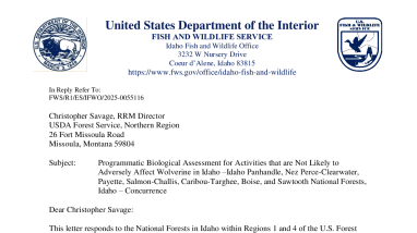 Programmatic Wolverine NLAA Effects Screen
