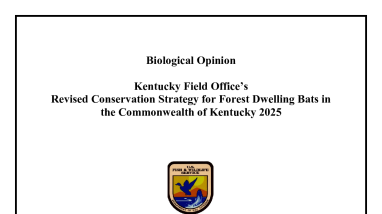 Biological Opinion: Kentucky Field Office’s Revised Conservation Strategy for Forest-Dwelling Bats in the Commonwealth of Kentucky