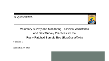 Survey and Monitoring Technical Assistance for Rusty Patched Bumble Bee