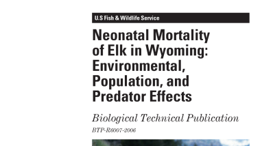 Neonatal mortality of elk in Wyoming: environmental, population, and predator effects