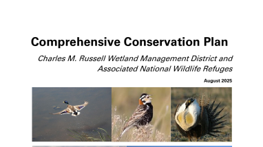 CMR WMD CCP, Appendices, EA, & FONSI