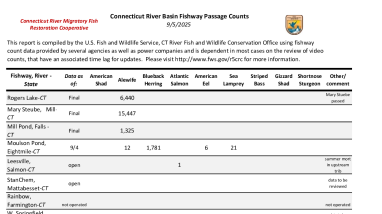 2025 Fishway Count Report