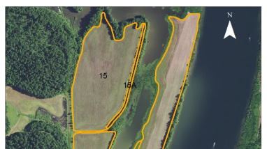 Map of Busseltown Unit South, Tennessee National Wildlife Refuge, Cooperative Farming Opportunity