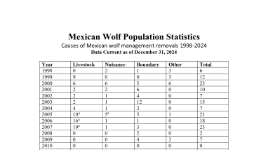 Causes and Outcomes of Mexican Wolf Management Removals 1998 - 2024