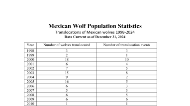Mexican Wolf Initial Releases and Translocations 1998 - 2024