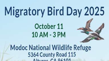 Migratory Bird Day at Modoc NWR 2025 Flyer