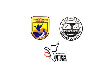 Ellen "Nell" Baldacchino Oral History Transcript