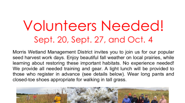 Morris Seed Harvest 2025