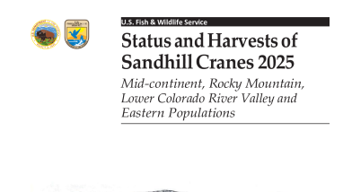 Status and Harvests of Sandhill Cranes, 2025