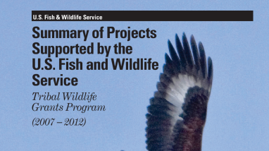 Summary of Projects Supported by the U.S. Fish and Wildlife Service: Tribal Wildlife Grants Program 2007-2012