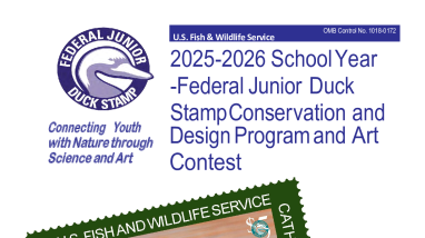 2025-2026 Junior Duck Stamp brochure, contest rules and regulations