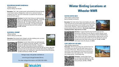 Wheeler NWR Winter Birding Guide - 2025