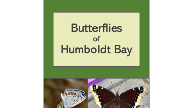 Butterflies of Humboldt Bay V 1.3