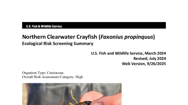 Ecological Risk Screening Summary - Northern Clearwater Crayfish (Orconectes propinquus) - High Risk