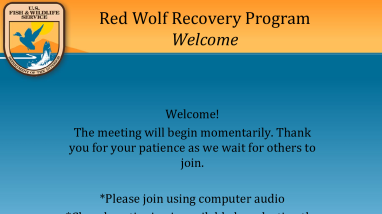 Red Wolf Recovery Meeting Presentation 9/2025