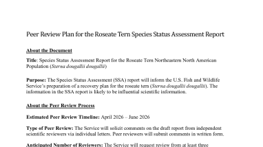 Peer Review Plan for the Roseate Tern Species Status Assessment Report