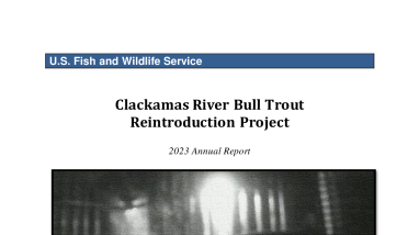 Clackamas River Bull Trout Reintroduction Project, 2023 Annual Report