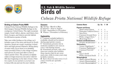 Cabeza Prieta NWR Bird List