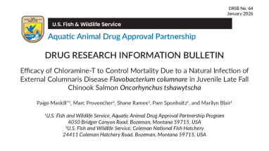 Drug Research Information Bulletin - Efficacy of Chloramine-T to Control Mortality Due to a Natural Infection of External Columnaris Disease Flavobacterium columnare in Juvenile Late Fall Chinook Salmon Oncorhynchus tshawytscha