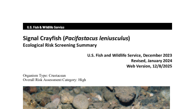 Ecological Risk Screening Summary - Signal Crayfish (Pacifastacus leniusculus) - High Risk
