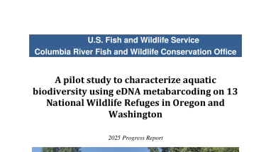 A pilot study to characterize aquatic biodiversity using eDNA metabarcoding on 13 National Wildlife Refuges in Oregon and Washington, 2025 Progress Report