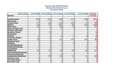ENNWR Waterfowl Survey December 2025