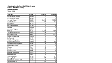 BNWR Winter 2026 Waterfowl Survey