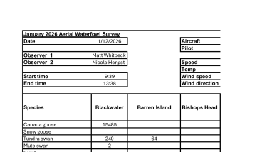BNWR Winter Aerial Waterfowl Survey 2026
