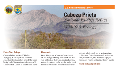 Wildlife and Ecology Fact Sheet